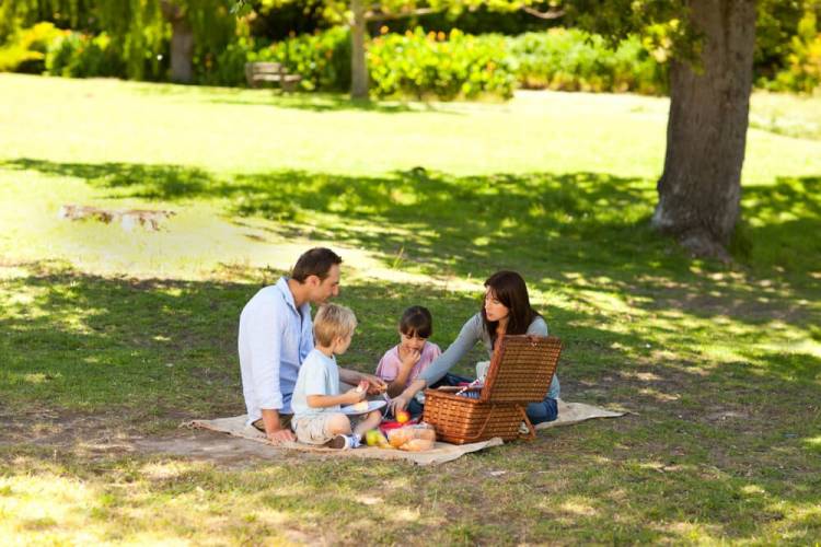 family in a park