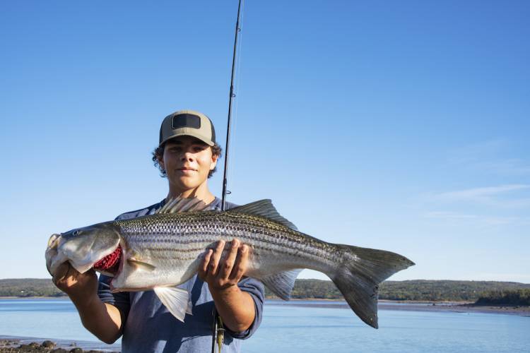 emerald isle fall fishing tournament