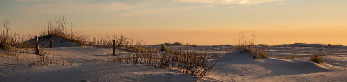 Dunes on beach in Emerald Isle, NC